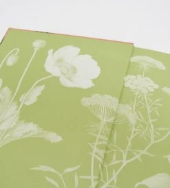 Publishers Distribution Ltd Plants That Cure | By Elizabeth Dauncey And Melanie-Jayne Howes