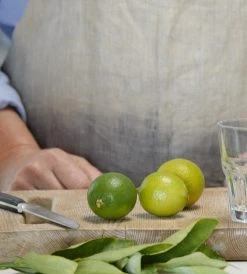 Real World Homecare Real World | Dishwashing Liquid | Lemongrass & Citrus | Glass Pump