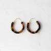 Sophie | Hoop Loops | Dark Tort New Arrivals