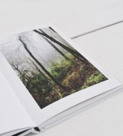 Publishers Distribution Ltd Sustainable Home | By Christine Liu Homewares