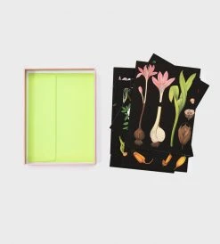 Publishers Distribution Ltd The Art Of Instruction Notecard Set