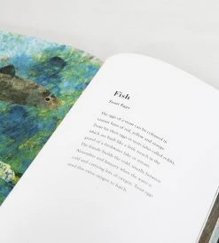 Prestel Publishing The Egg | By Britta Teckentrup