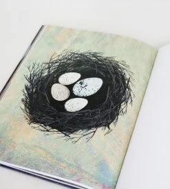 Prestel Publishing The Egg | By Britta Teckentrup