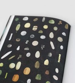 Prestel Publishing The Egg | By Britta Teckentrup