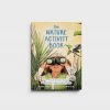 Upstart Press The Nature Activity Book | By Rachel Haydon