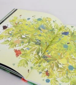 Prestel Publishing The Seedling That Didn't Want To Grow | By Britta Teckentrup Baby + Child