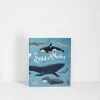 Gestalten The World Of Whales | By Darcy Dobell Baby + Child