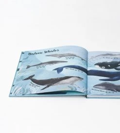 Gestalten The World Of Whales | By Darcy Dobell Baby + Child