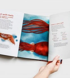 Upstart Press New Arrivals Whiti Colossal Squid Of The Deep | By Victoria Cleal & Isobel Joy Te Aho-White