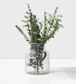 Father Rabbit Living Wide Glass Vase