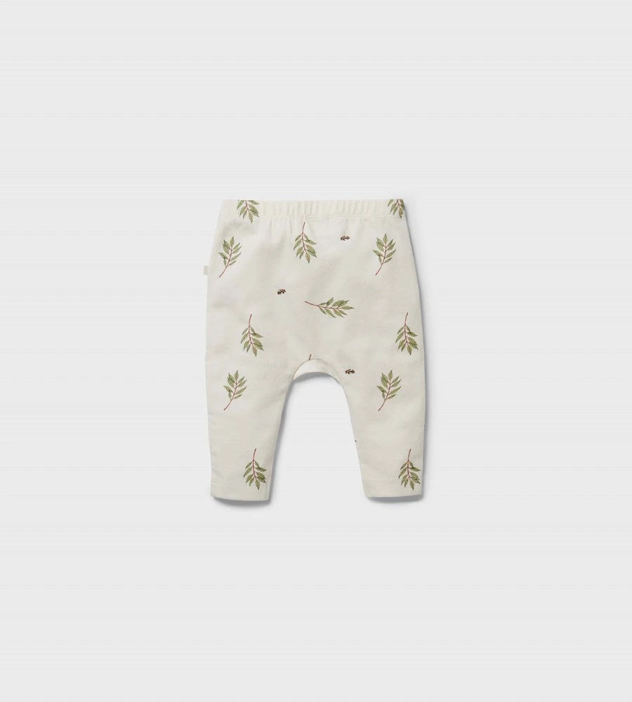 New In Baby Wilson & Frenchy | Organic Legging | Busy Bee