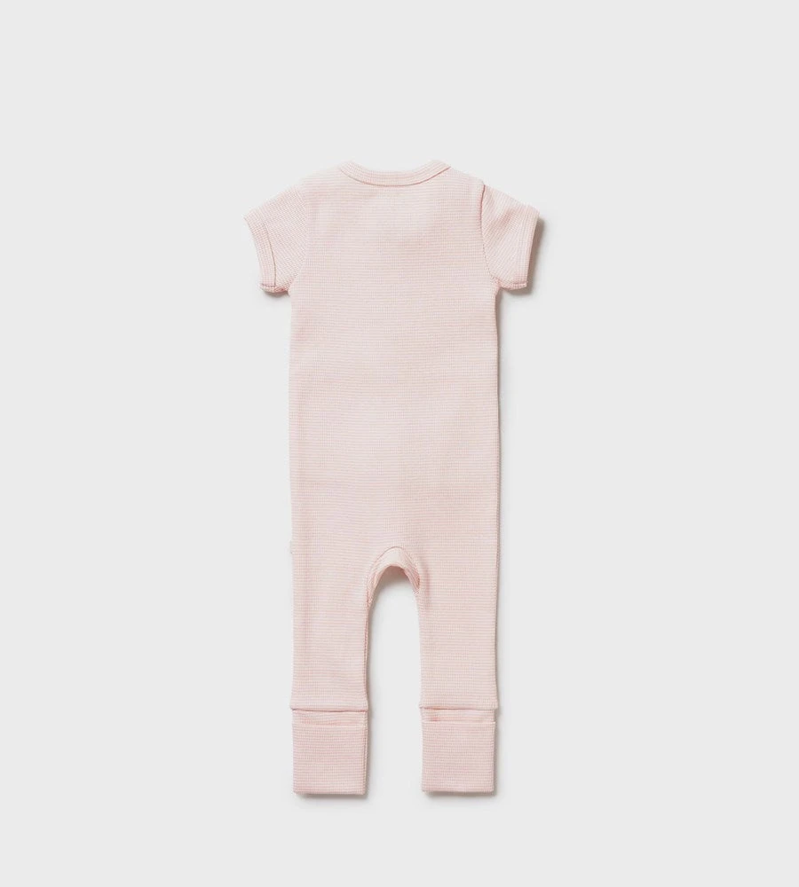 Wilson & Frenchy | Organic Stripe Rib Zipsuit | Cantaloupe