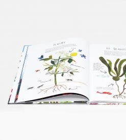 Thames & Hudson Publishers With A Little Kelp From Our Friends | By Matthew Bate