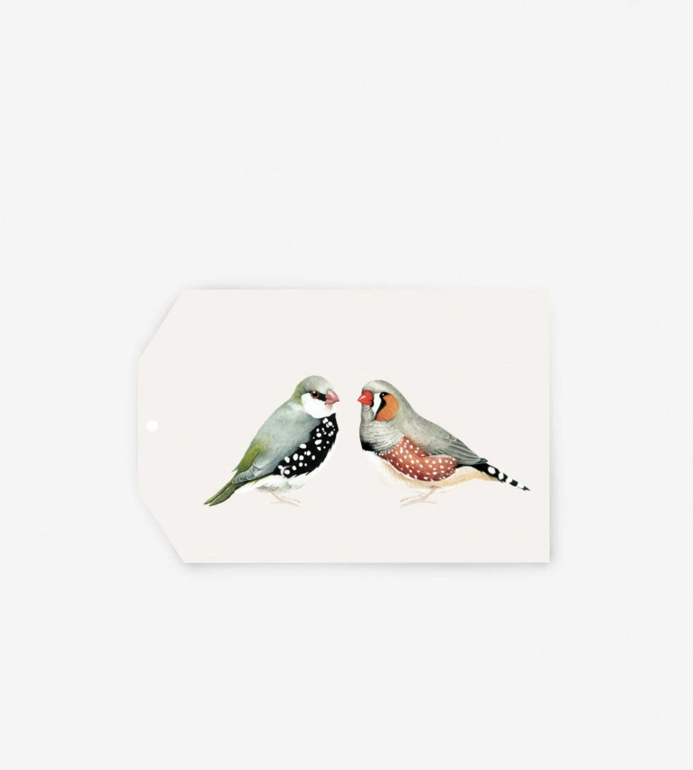Father Rabbit Stationery Gift Tag | A Couple Of Birds Gifting