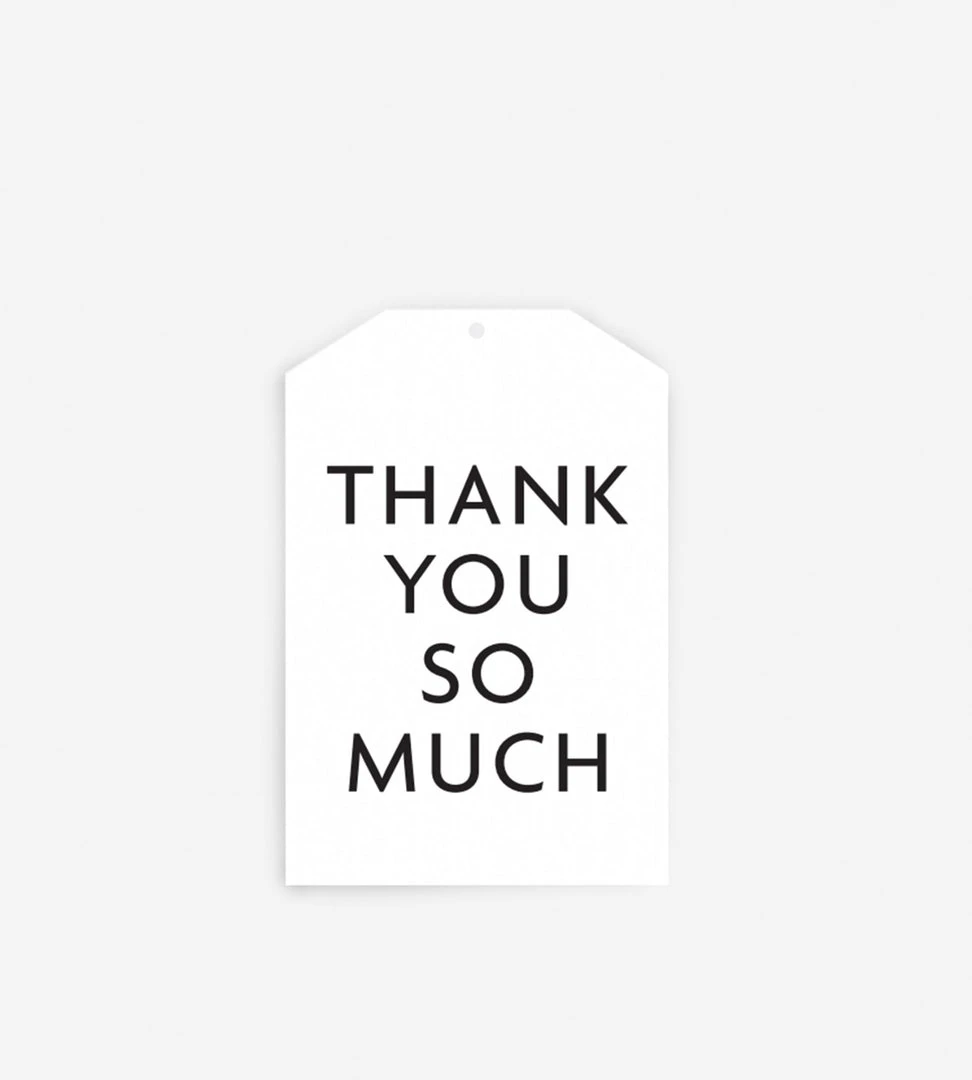 Gifting Father Rabbit Stationery Gift Tag | Thank You So Much