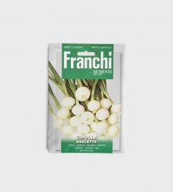 Franchi Sementi Seeds | Barletta Onion