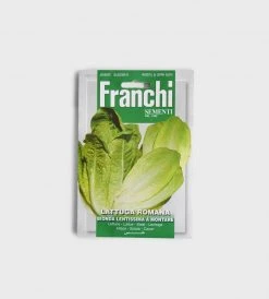 Franchi Sementi Seeds | Romana Bionda Lentissima | Romaine Lettuce Homewares