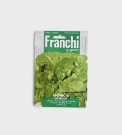 Franchi Sementi Seeds | Matador Spinach