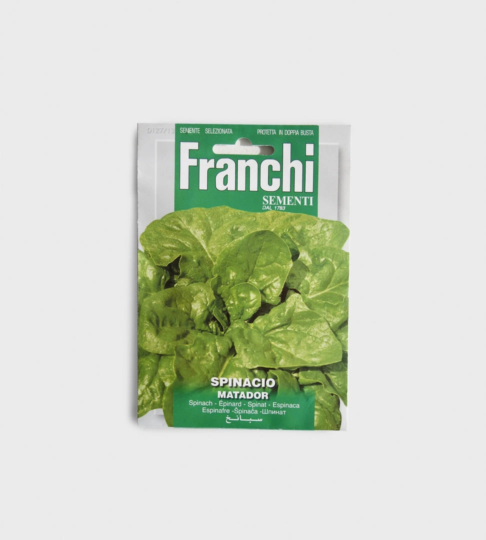 Franchi Sementi Seeds | Matador Spinach